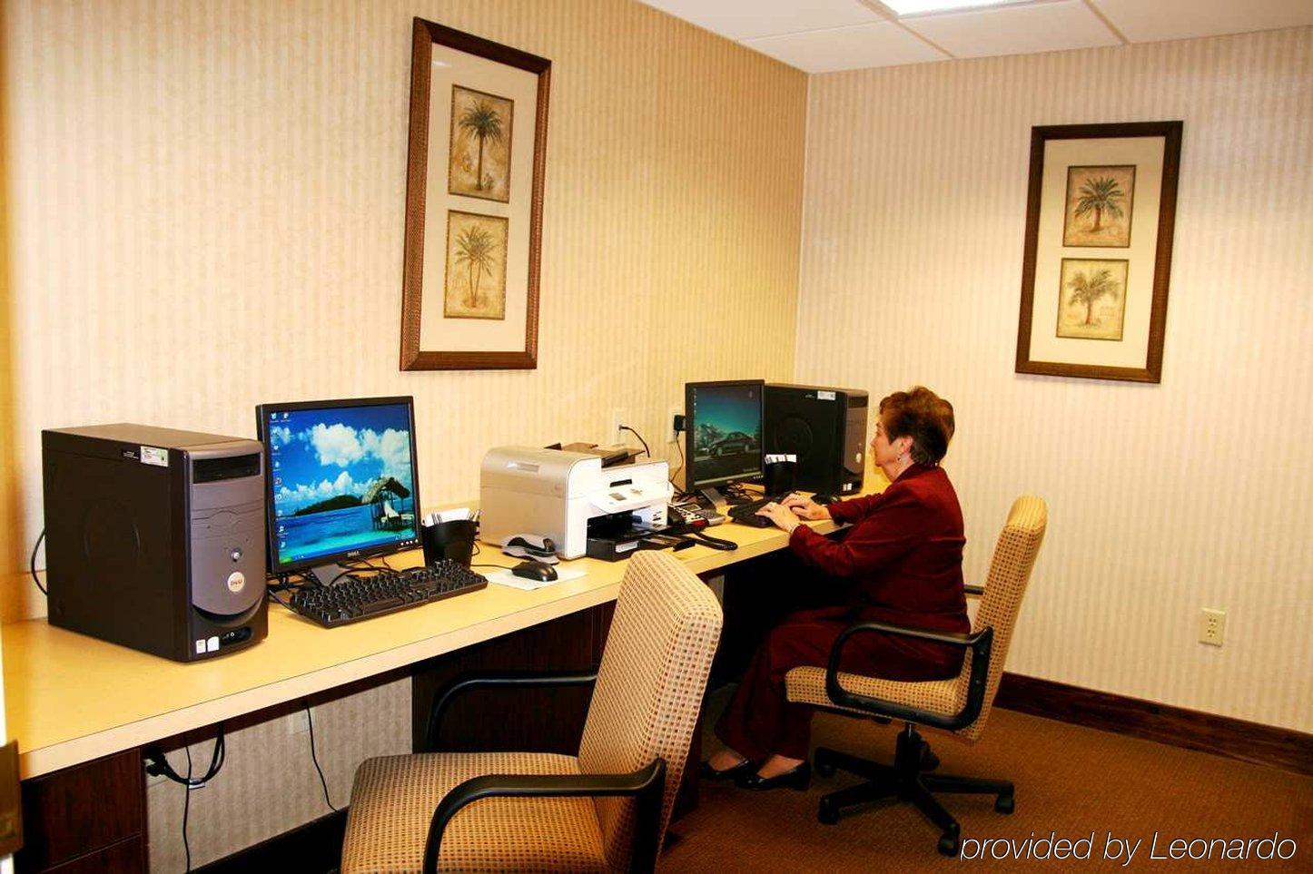 Hampton Inn Manning Facilités photo